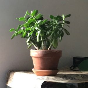 Meet your Posher, Fabie